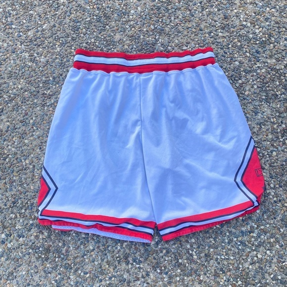 🐃🐃 Vintage Chicago Bulls basketball shorts champion - Picture 6 of 7